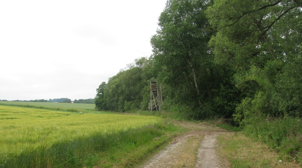 der Bach Holzape nördlich der Beberbecker Hute ist hier Teil des FFH-Gebiets 4422-350 „Holzapetal“.