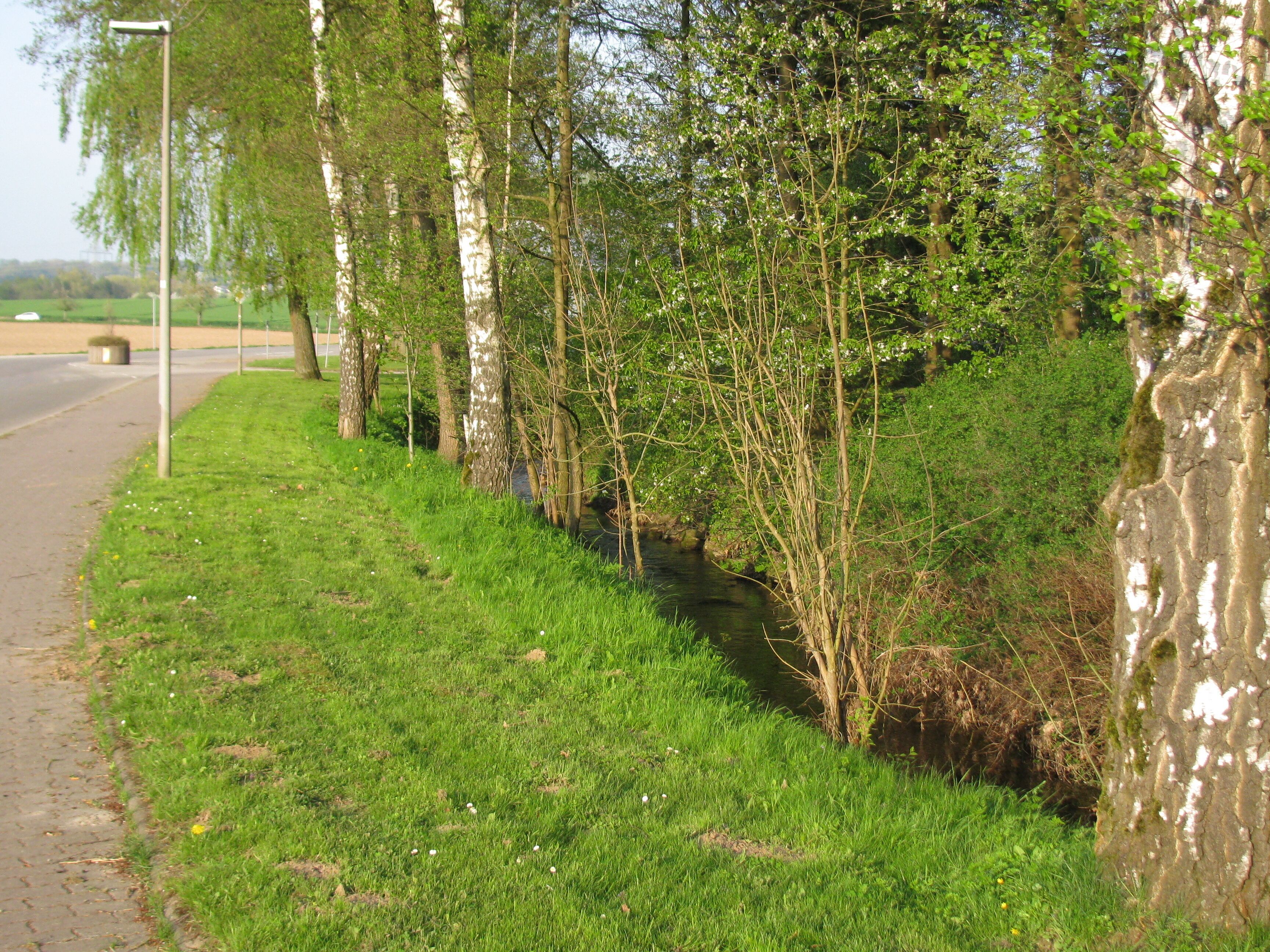 die Lempe neben der Schöneberger Straße in Hofgeismar