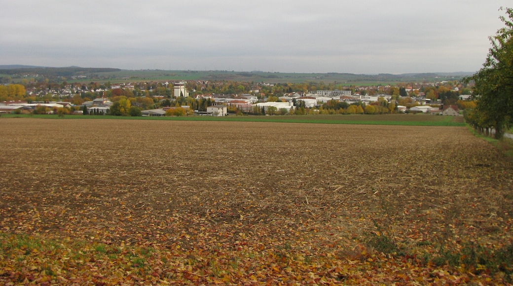 Blick vom Westbergweg auf Hofgeismar