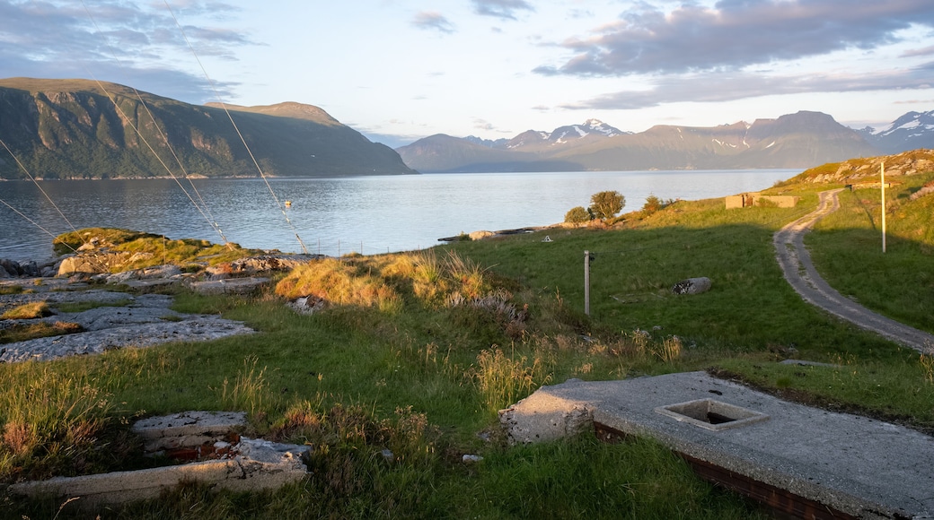 Hareid, Norway - June 25, 2022: Kvitneset costal Fort was built by the Germans during Second World War with firing positions, prison camps, command bunkers, anti-tank positions. Selective focus