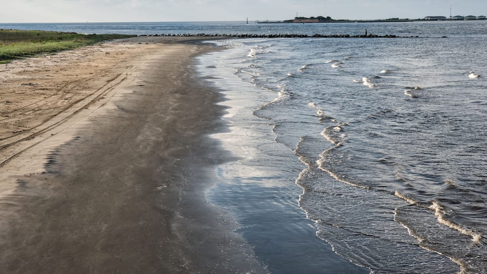 A sandy beach with gentle waves and seagulls.