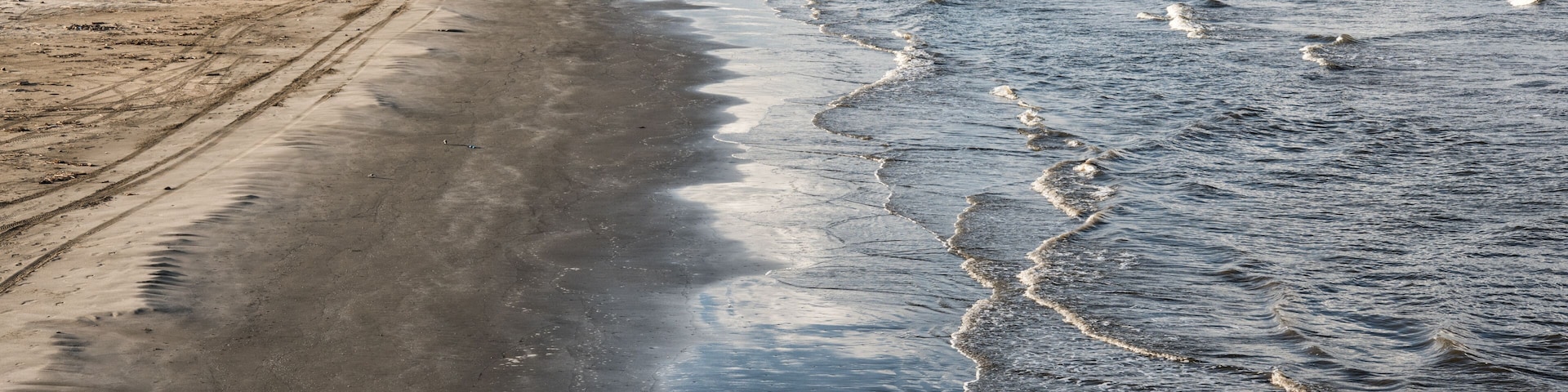 Uma praia arenosa com ondas suaves e gaivotas.