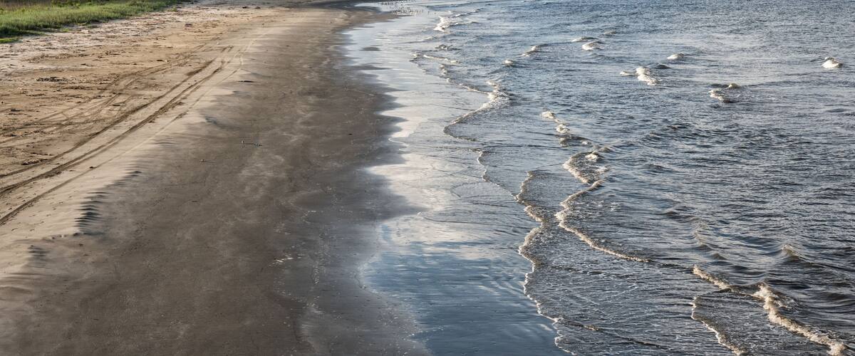 A sandy beach with gentle waves and seagulls.