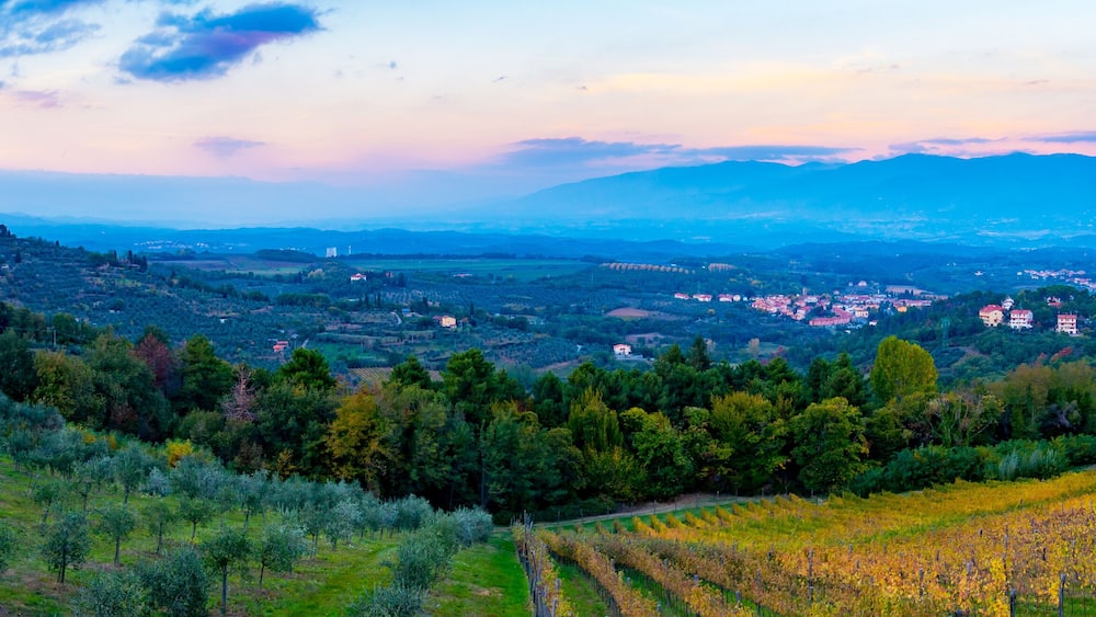 Un paysage montagneux parsemé de vignobles, de maisons isolées et, au loin, d’une ville.