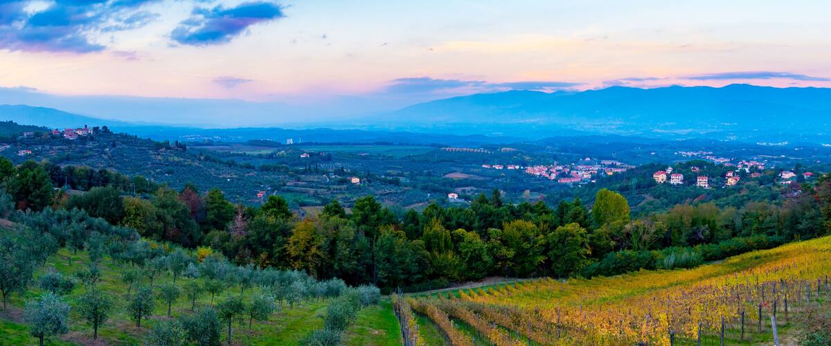 A mountainous landscape with vineyards, scattered houses, and a distant city.