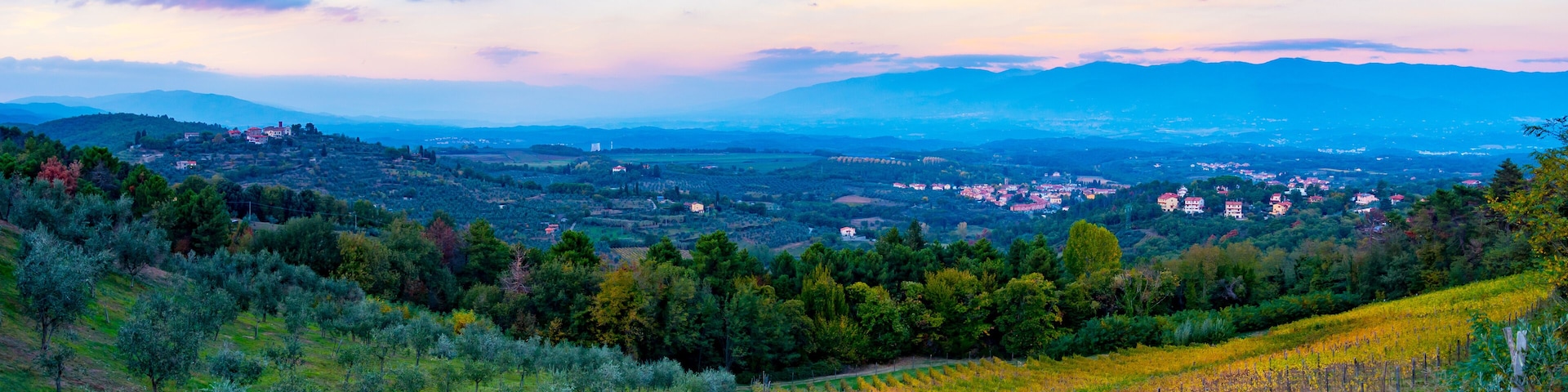 A mountainous landscape with vineyards, scattered houses, and a distant city.