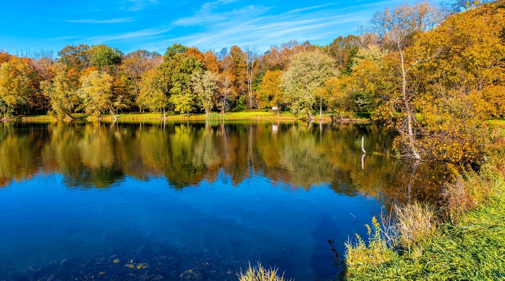 Potawatomi Woods and Lake view in Wheeling Township of Illinois