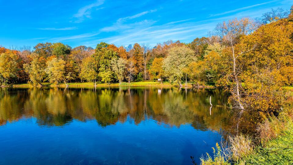 Potawatomi Woods and Lake view in Wheeling Township of Illinois