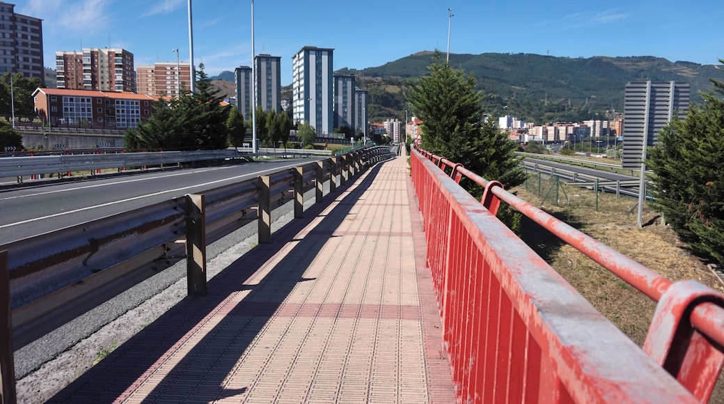 A walkway on the road San Ignacio Kalea in Barakaldo, Spain.
