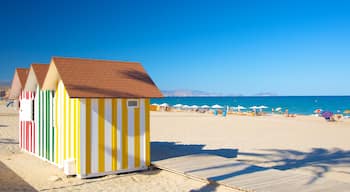 Alicante mettant en vedette plage de sable