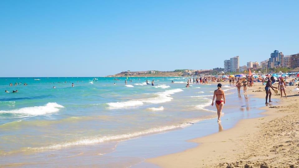 Alicante showing swimming and a sandy beach as well as a large group of people