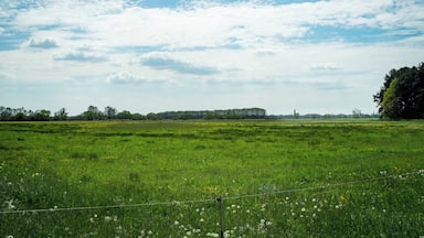Wiesenlandschaft unweit des Königroder Hofes im Fiener Bruch im Landkreis Jerichower Land; EU-Vogelschutzgebiet DE-3639-401 Fiener Bruch (Sachsen-Anhalt)