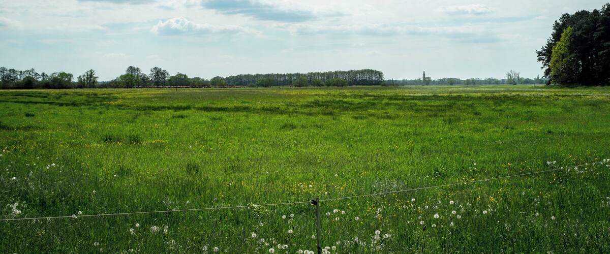 A green field with a fence in the foreground and a line of trees in the background under a partly cloudy sky.