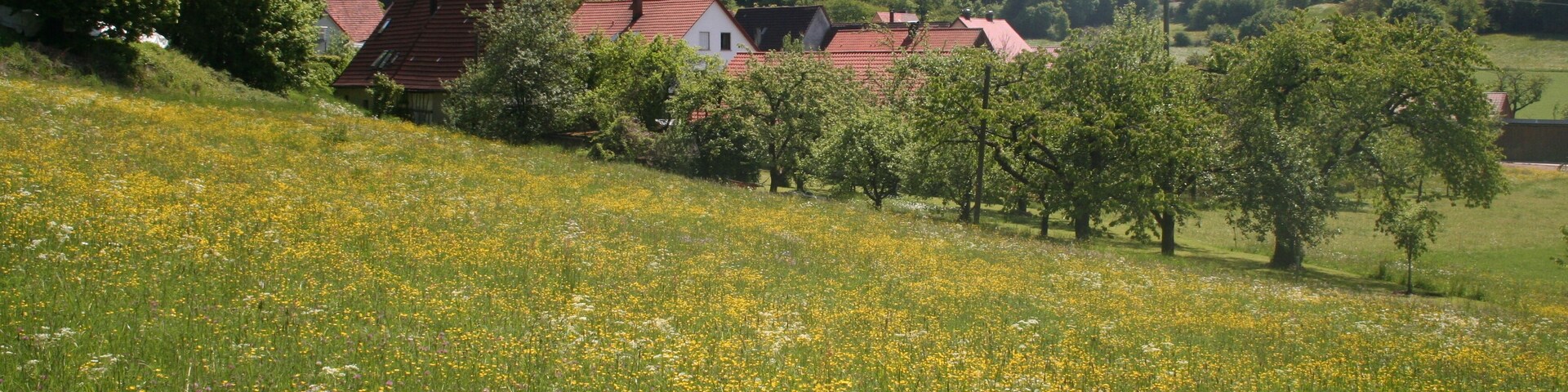 Mittelburg, Pommelsbrunn
