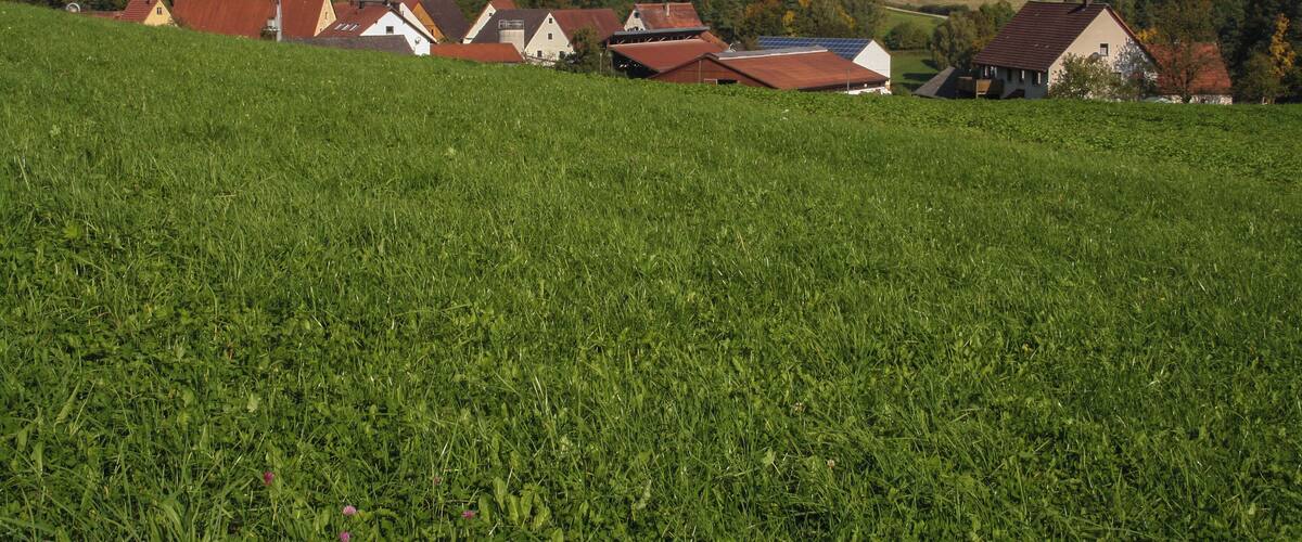 Wรผllersdorf bei Pommelsbrunn