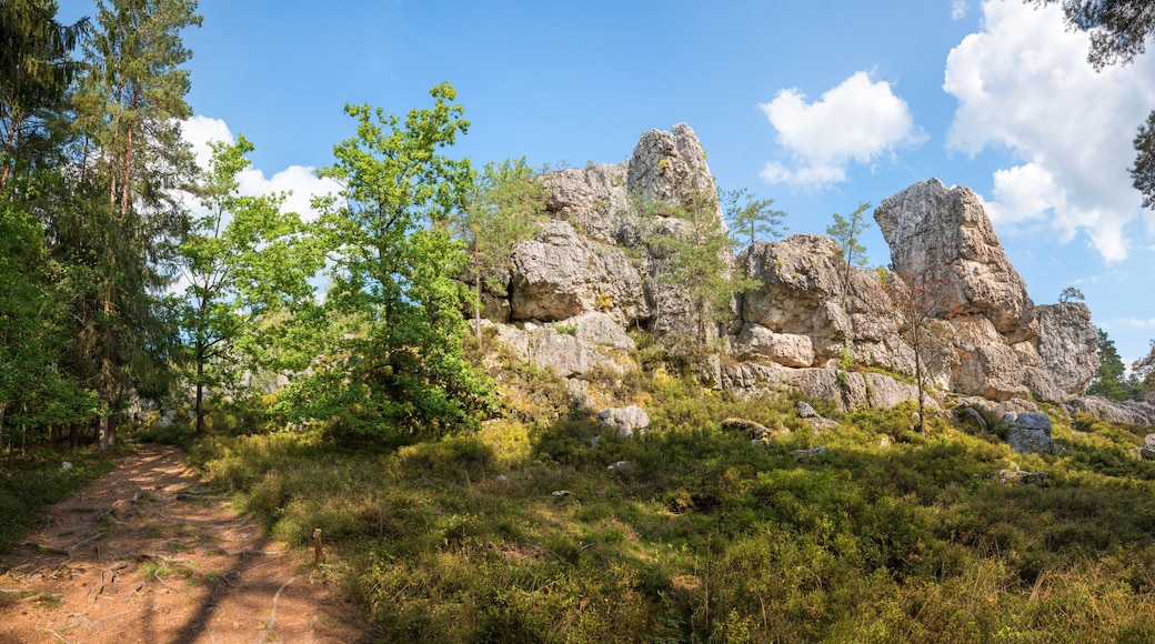 rocky quartz formation, tourist destination Grosser Pfahl, near Viechtach lower bavaria
