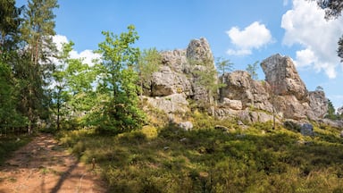 Viechtach