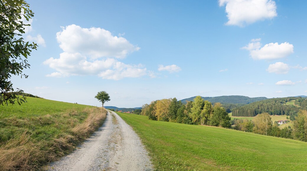 walkway in the surrounding of viechtach, tourist resort bavarian forest, wide panorama landscape