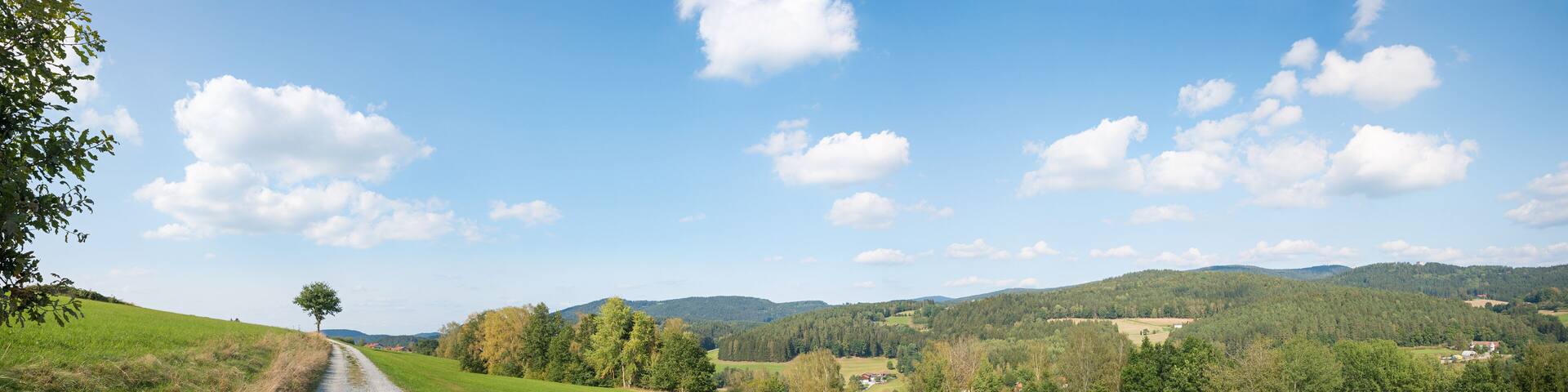 walkway in the surrounding of viechtach, tourist resort bavarian forest, wide panorama landscape