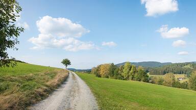 walkway in the surrounding of viechtach, tourist resort bavarian forest, wide panorama landscape