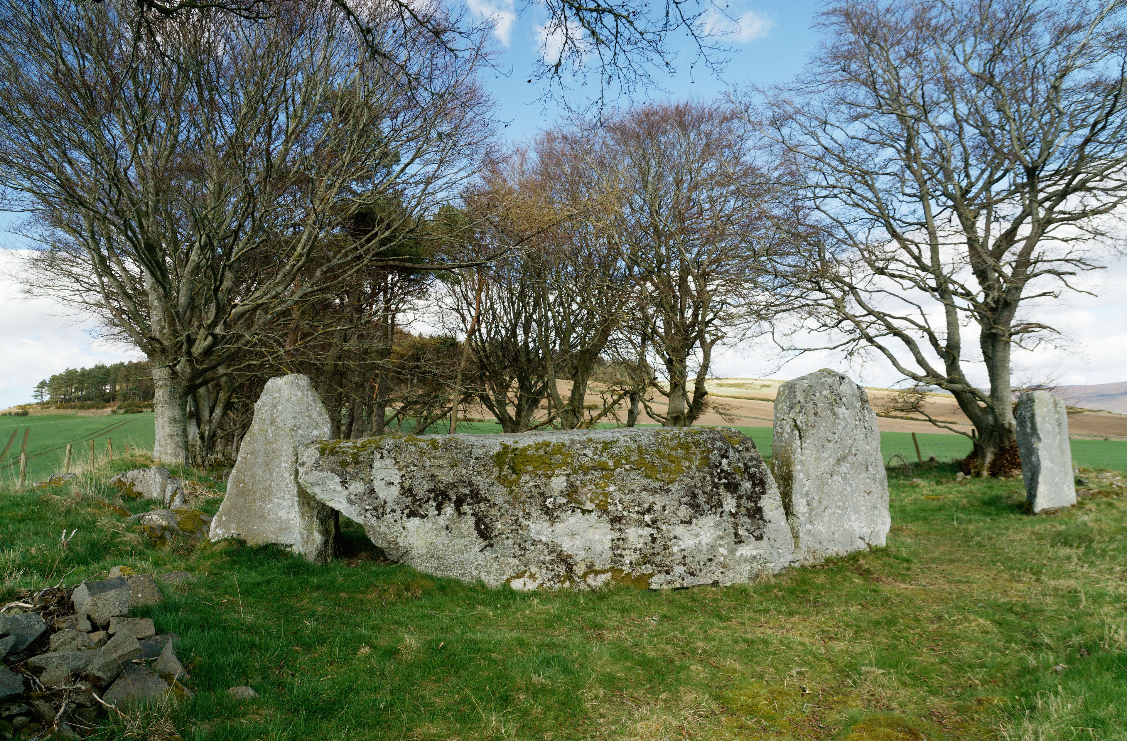 Old Keig prehistoric recumbent stone circle. N.E. of Alford, Grampian, Scotland. Looking north