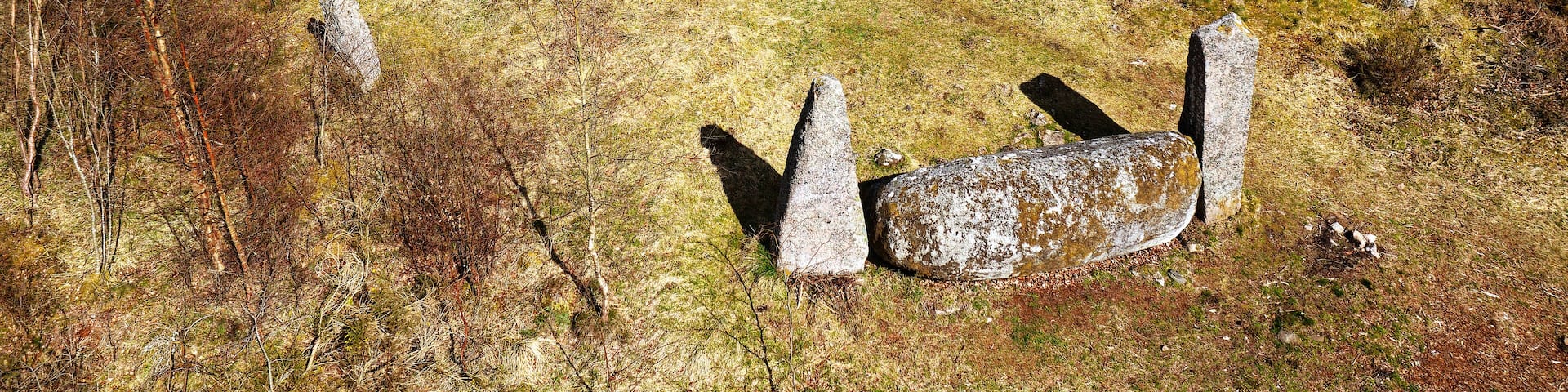 Cothiemuir prehistoric recumbent stone circle. N.E. of Alford, Grampian, Scotland