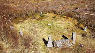 Cothiemuir prehistoric recumbent stone circle. N.E. of Alford, Grampian, Scotland