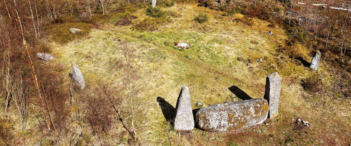 A rocky terrain with sparse vegetation and scattered stones.