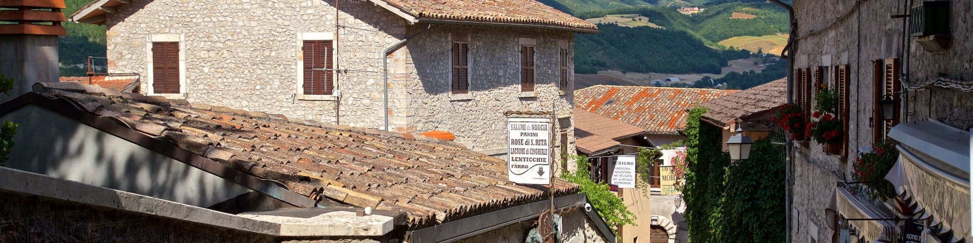 A narrow stone street with traditional stone buildings, a signboard, and a mountainous landscape in the background.
