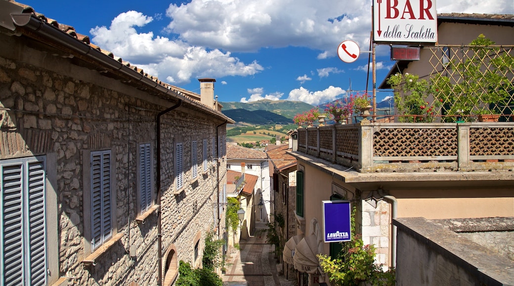 Cascia which includes signage, flowers and a small town or village