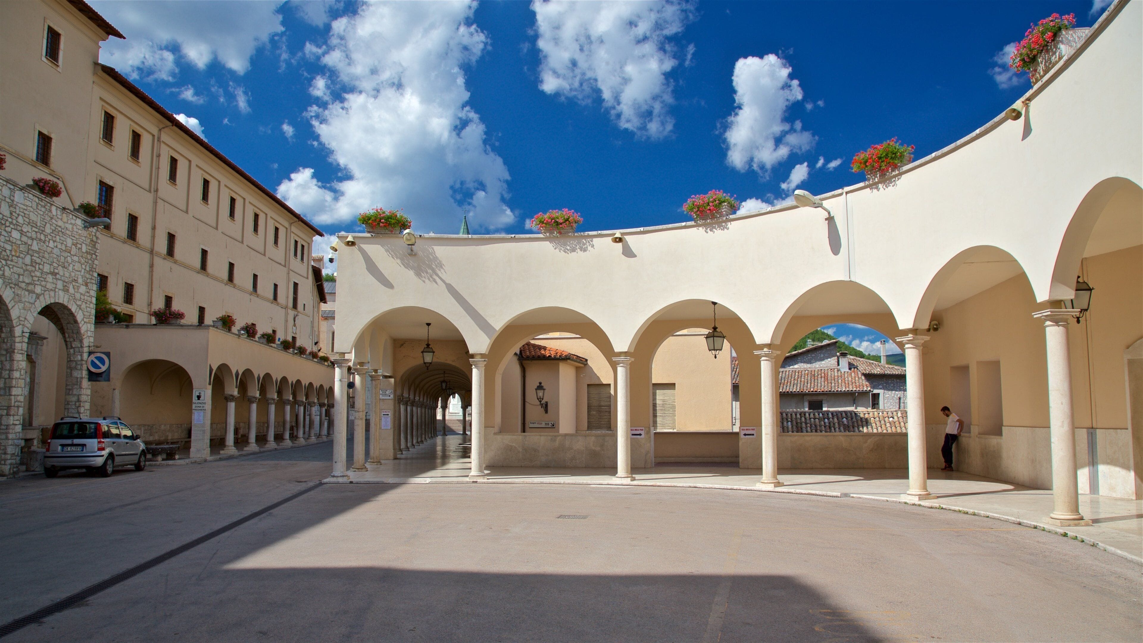 Cascia which includes flowers