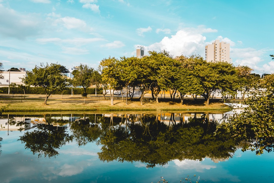 Indaiatuba, Brazil; 2018, july. The trees of a park reflected on the water of a rivel.