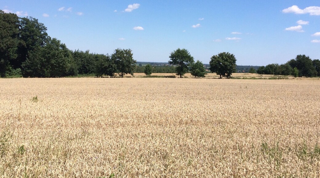 After a long bike ride through the woods
#field #sunny