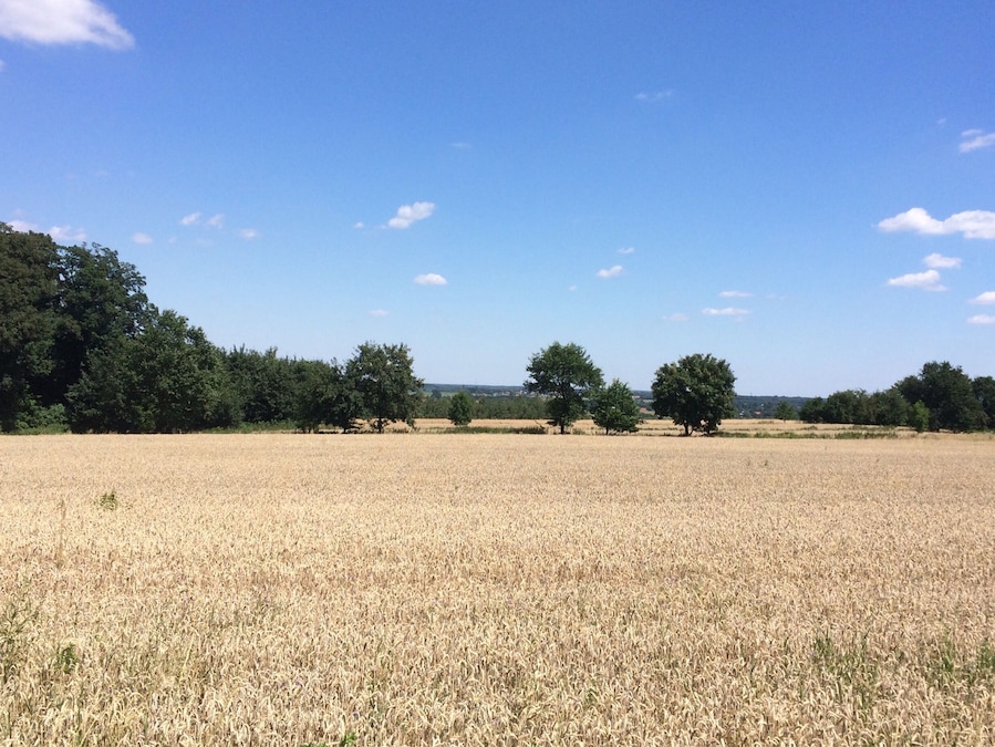 After a long bike ride through the woods
#field #sunny
