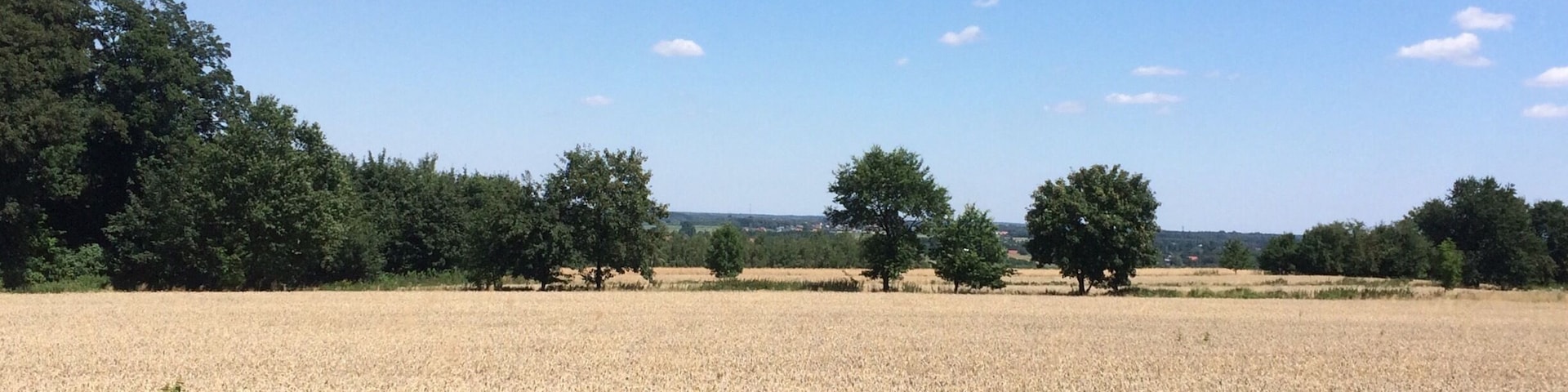 After a long bike ride through the woods
#field #sunny