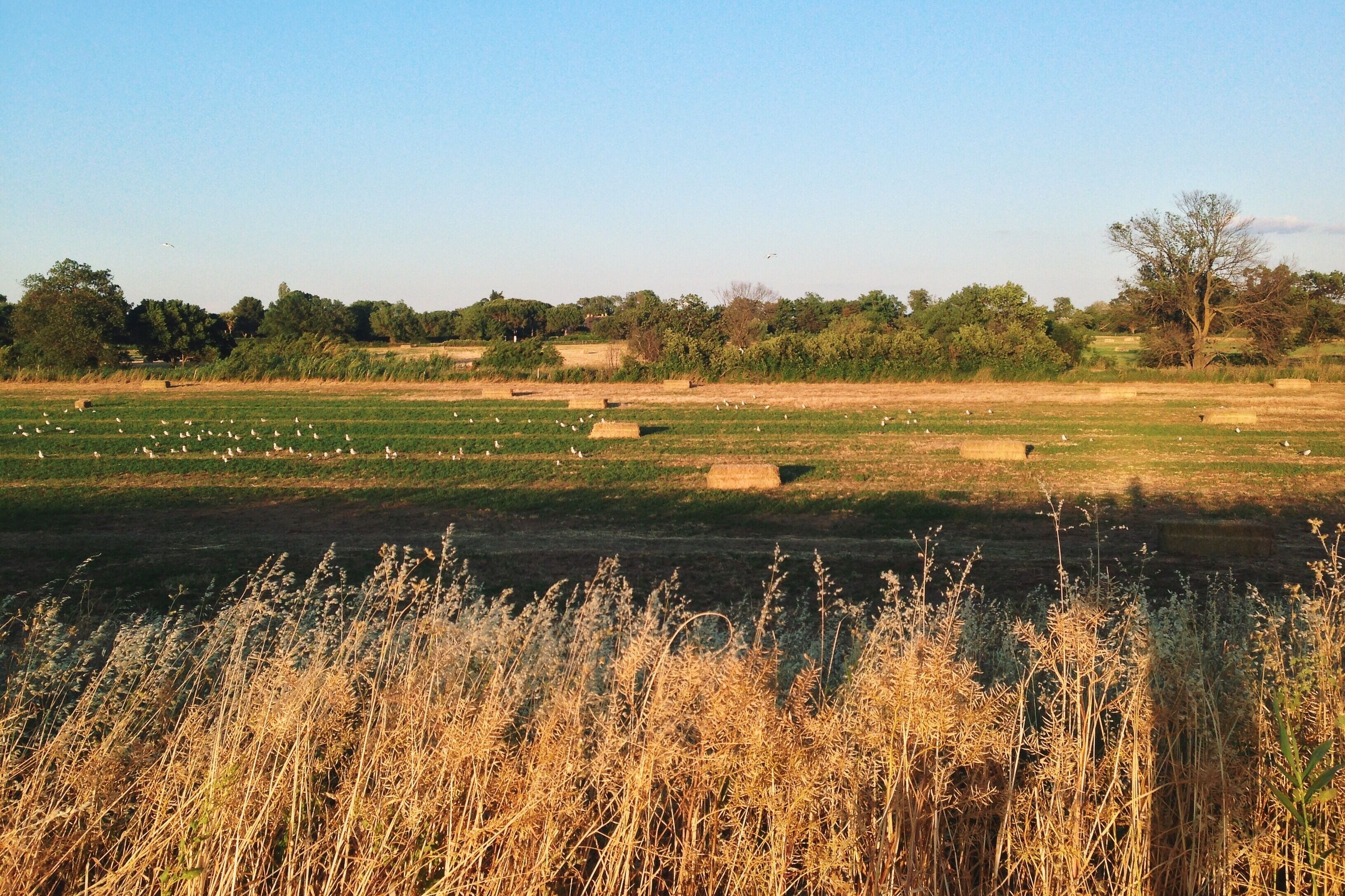 Processed with VSCOcam with k2 preset