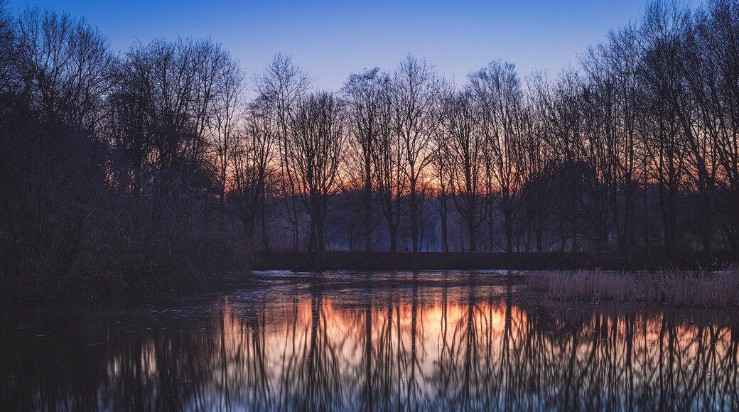 Just some random small park between Delft and Rijswijk, but a beautiful sunset.