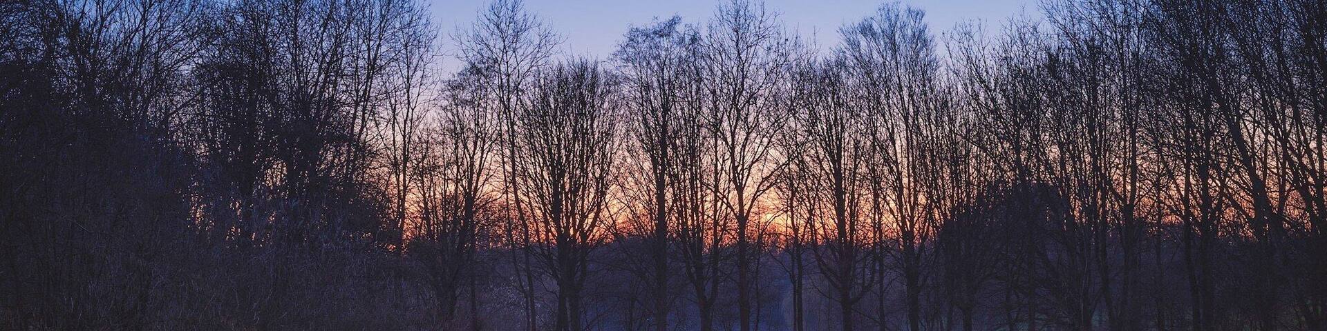 Just some random small park between Delft and Rijswijk, but a beautiful sunset.