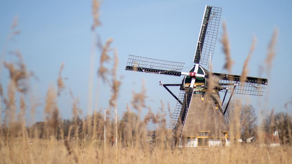 Traditional Dutch windmill in the Netherlands (De Schaapweimolen, Rijswijk)