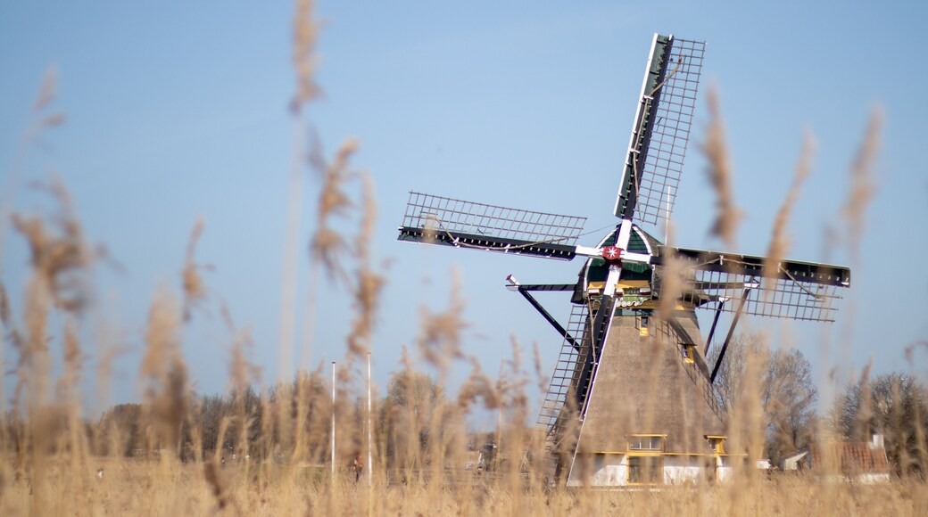 Rijswijk