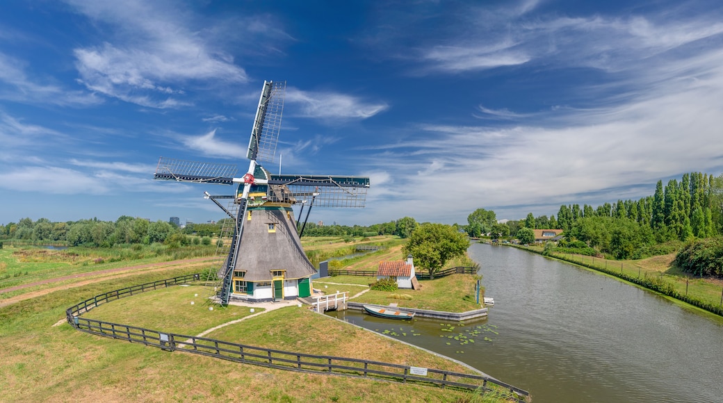 Scenic Dutch Landscape of the Schapenwei Windmill