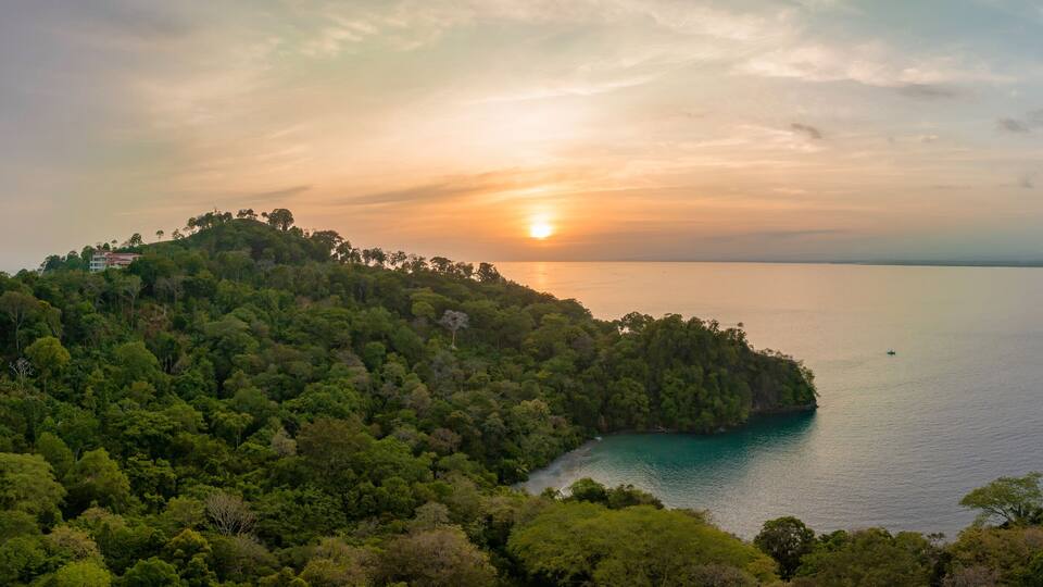 A coastal landscape with dense forested hills, a calm sea, and a setting sun.