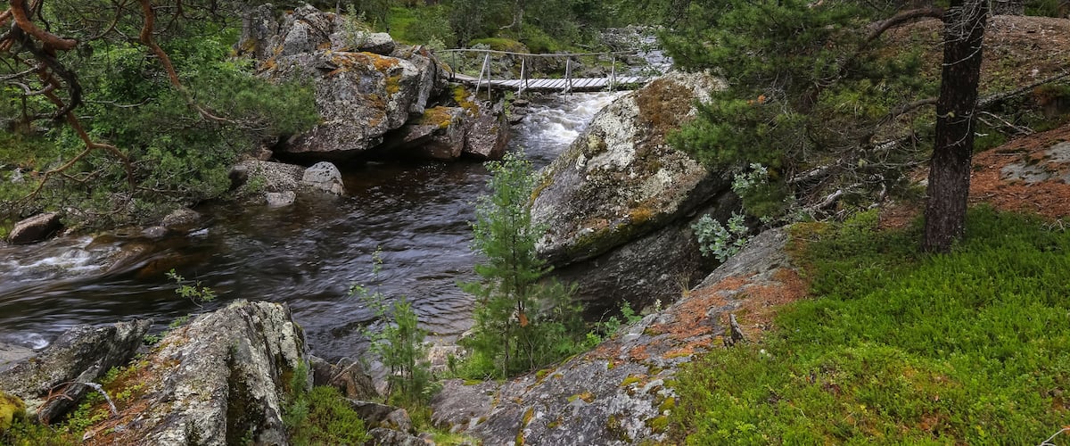 A wooden bridge over a flowing river surrounded by dense forest and rocky terrain.