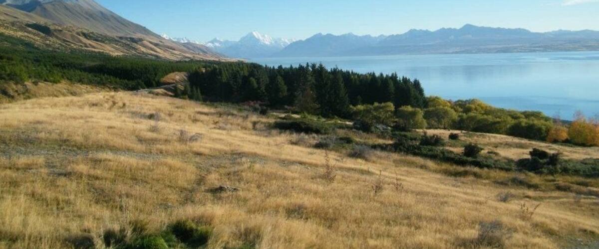 On the road to Mount Cook.