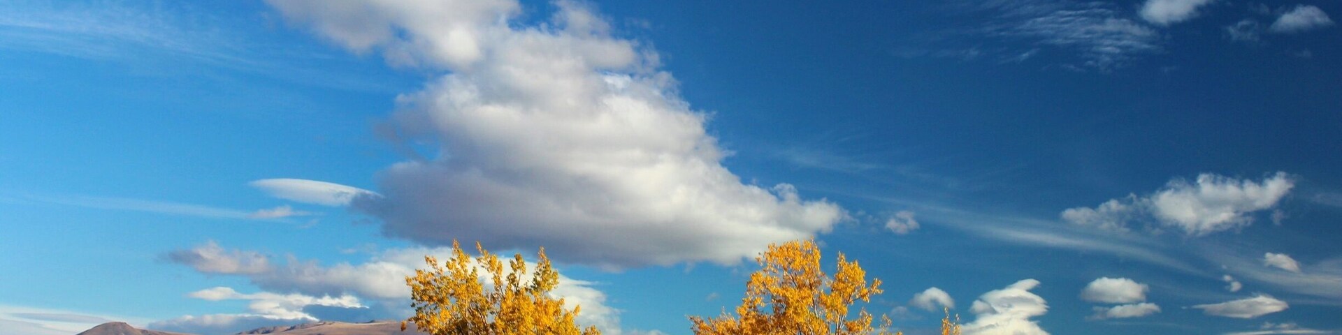 Dreamy Autumn road trips through the Mackenzie Country 🍂 #autumn #blue