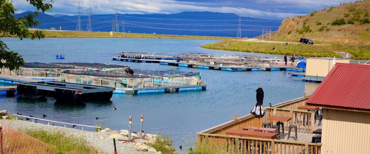 A coastal area with boats docked at a pier, a small building, and mountains in the background.