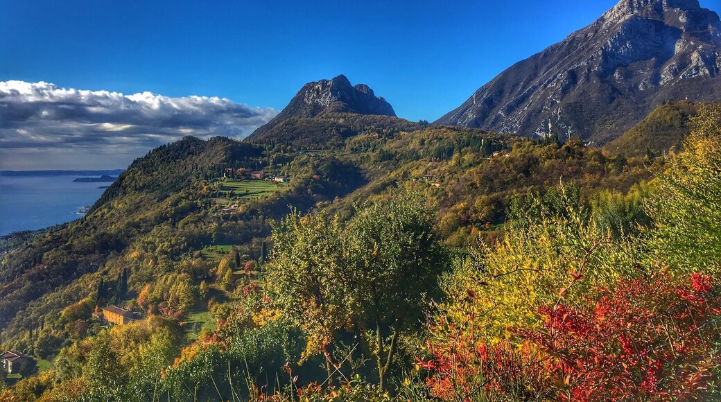 The beautiful town of Gargnano in Italy
#BVSBlue