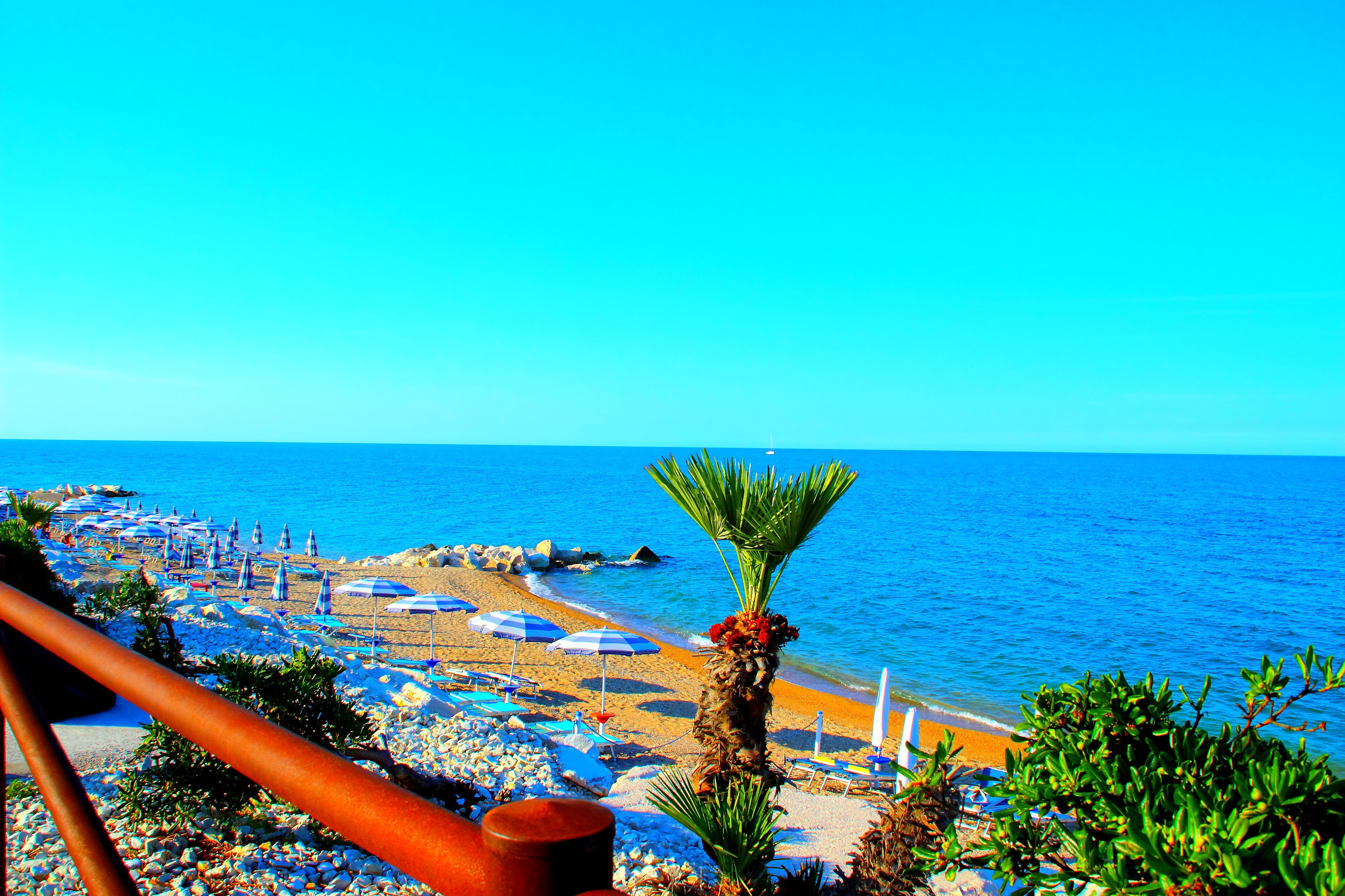 بورتو ريكاناتي