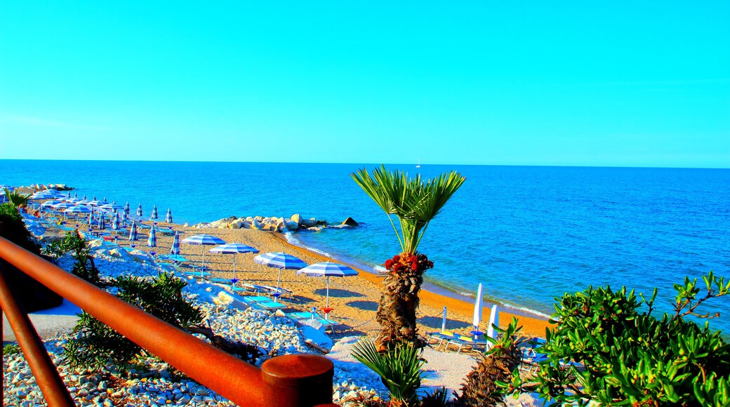 بورتو ريكاناتي