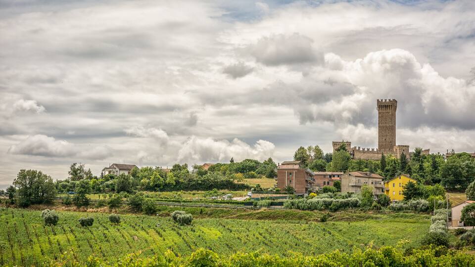 A castle with a tall tower surrounded by vineyards and residential buildings.
